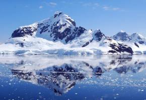 Ledinis Rojus Antarktidoje
